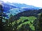 Panorama towards the Alpine peaks in the Churfirsten mountain chain