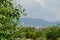 A panorama with tower, tree and bushes zoomed