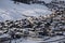 Panorama Town of Livigno in winter. Livigno landscapes in Lombardy, Italy, located in the Italian Alps, near the Swiss border