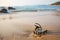 Panorama of tropical beach with old vintage sundial .