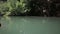 panorama of tropical river among mangrove trees