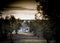 Panorama of a trulli farm surrounded by trees in Cisternino puglia Italy. Horizontal view