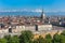 Panorama of Turin skyline