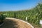 panorama of two circular fields of crops: corn and sunflower