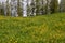 Panorama of untouched landscapes in the Austrian Alps