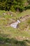 Panorama of untouched landscapes in the Austrian Alps