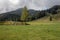 Panorama of untouched landscapes in the Austrian Alps