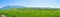 Panorama of the Uzbek meadow