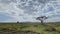 Panorama of the vast expanses of Tanzania. Stunning amazing landscapes of Africa. Beautiful nature