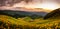 Panorama veiw beautiful scenery of yellow flowers Thung Bua Tong, Mae Hong Son, Thailand