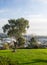 Panorama of Ventura from Grant Park