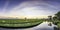 Panorama of very vast, broad, extensive, spacious rice field, streched into the horizon