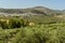 A panorama view across the olive fields to the town and hilltop fortress in Montefrio, Spain