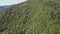 Panorama view aerial drone of coniferous pine forest in early autumn in Taiwan