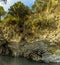 A panorama view of the basalt volcanic columns on the side of the Alcantara gorge near Taormina, Sicily