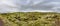 Panorama view of the carpet of moss,musk and lichen over the lava fields.