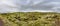 Panorama view of the carpet of moss,musk and lichen over the lava fields