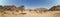Panorama view of desert view on extreme heat weather.