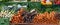 Panorama view of a farmer market stall with many organic vegetables for sale