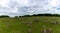 Panorama view of the grounds of the Lindholm Hills Viking burial site in northern Denmark