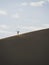 Panorama view of isolated single person climbing scaling dry sand dune desert with skis Huacachina Ica Peru