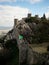 Panorama view of medieval historic moorish castle ruins fortress of Castelo dos Mouros in Sintra Lisbon Portugal Europe