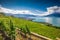 Panorama view of Montreux city with Swiss Alps, lake Geneva and vineyard on Lavaux region, Canton Vaud, Switzerland, Europe