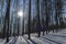 Panorama with a view of the mountains, trees with beautiful light