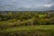 A panorama view north from St Catherines Hill towards Winchester, UK