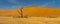 Panorama view of one trees from Deadvlei, landscape with large sand dunes and trees in background at Sossusvlei