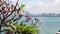 Panorama view of Pattaya city and Gulf of Siam, Thailand