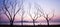 Panorama view, a peaceful lakeside at sunset, unidentified male walking in the lined of leafless tree trunks. Abstract shape of