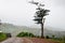 Panorama View point at, Mae Hong Son Province of North Thailand