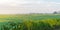 Panorama view rice field, taro leaves and cloud blue sky at the countryside in Thai Binh province, North Vietnam
