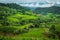 Panorama view of rice terraces at Bong Piang forest in Chiang Mai, Thailand.