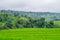 Panorama view on rice terraces Jatiluwih