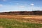 Panorama view of rural landscape in the Kingdom of Denmark against blue sky copyspace and fresh air. Tranquil harmony in