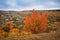 Panorama view of a small village Stina in Vinnytsia region, Ukraine, lying in a deep valley