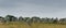 Panorama view of the standing stone alignments of Carnac in Brittany