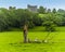 A panorama view toward the castle overlooking the village of Llansteffan, Wales