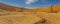 Panorama view of the trees from Deadvlei, landscape with large sand dunes at Sossusvlei