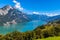 Panorama view Walensee lake and the Alps