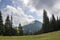 Panorama view of white cloud on top of mountain with green spruce forest and fir-trees on grassy meadow on sunny day. Summer