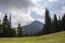 Panorama view of white cloud on top of mountain with green spruce forest and fir-trees on grassy meadow on sunny day. Summer