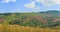 Panorama view of wild Himalayan cherry , cabbage and strawberry