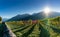 Panorama vineyard and mountain landscape in the Swiss Alps in autumn with sun setting