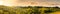 Panorama of vineyards hills in south Styria, Austria. Tuscany like place to visit