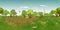 Panorama virtual reaility background of forest in normal day