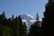 Panorama Volcanic Mountain Landscape in Mount Rainier National Park, Washington