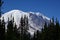 Panorama Volcanic Mountain Landscape in Mount Rainier National Park, Washington